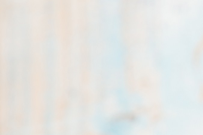 Risotto de camarones y coco