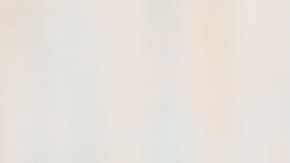 Risotto de camarones y coco