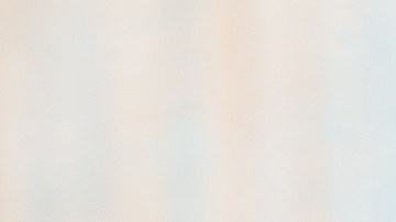 Risotto de camarones y coco