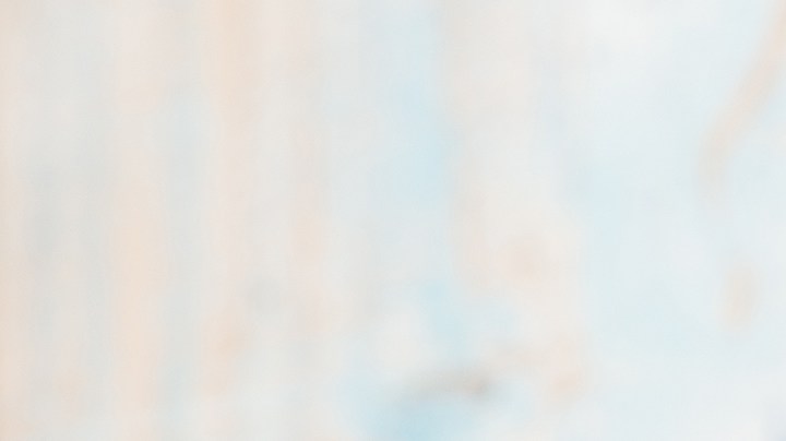 Risotto de camarones y coco