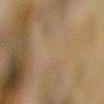 risotto de cebada y hongos