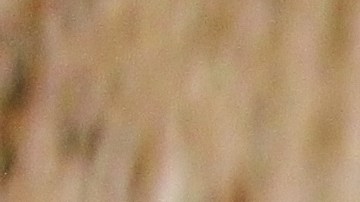 risotto de cebada y hongos