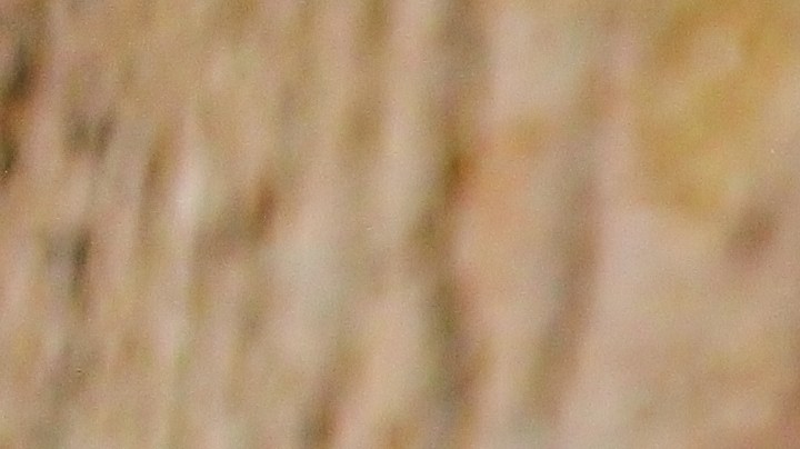 risotto de cebada y hongos