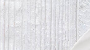 salteado de vegetales con baby corn