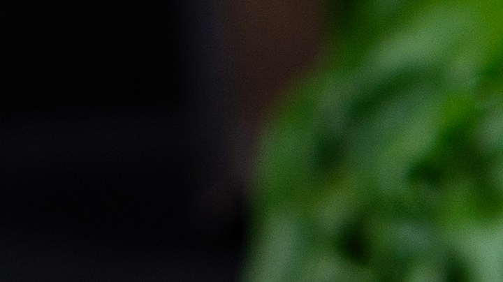 Sardinas a la moruna