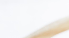 Sopa de cebada y champiñones