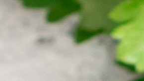 Ensalada mediterránea de cebada