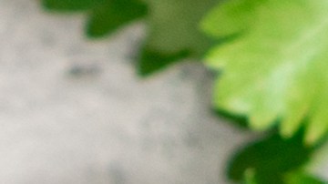 Ensalada mediterránea de cebada