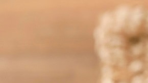 hígado a la provenzal