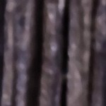 Crédito: Shutterstock