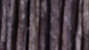 Crédito: Shutterstock