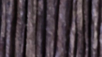 Crédito: Shutterstock