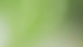 Imagen del Menú Semanal