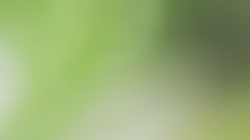 Imagen del Menú Semanal