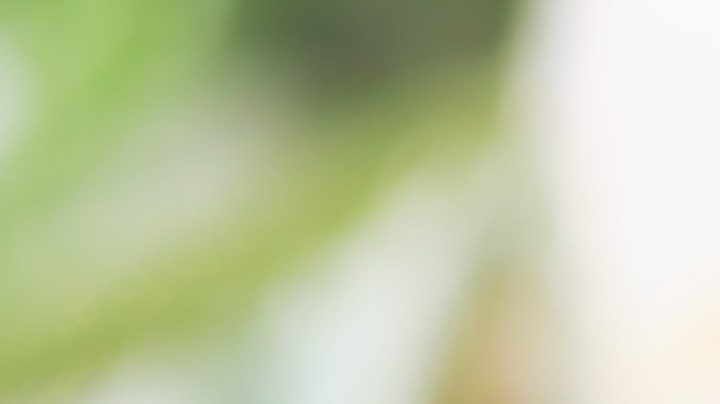 Imagen del Menú Semanal