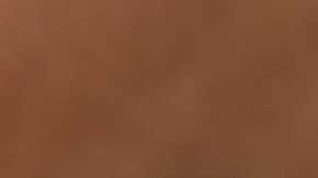 Sándwich de sardinas ahumadas