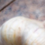 sardinas en escabeche