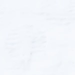 tarta de chocolate blanco