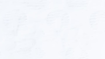 tarta de chocolate blanco