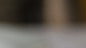 empanada gallega de sardinas