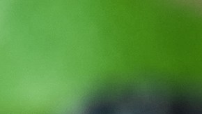 Tarta de chocolate vegana