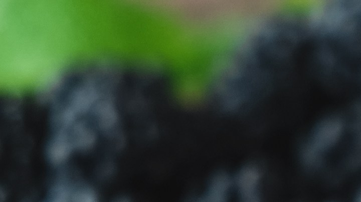 Tarta de chocolate vegana