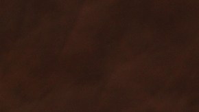 Berenjenas rellenas de quinoa y tofu