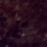 Burrito de pollo fundido