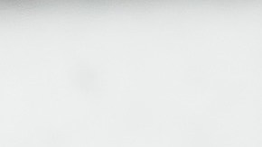 corazones de pollo con champiñones al ajillo