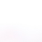 Pavo relleno de manzanas