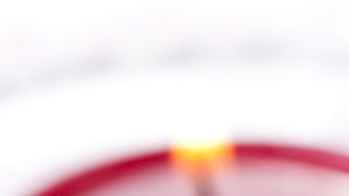 Pavo relleno de manzanas