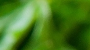 Papa rellena de pollo