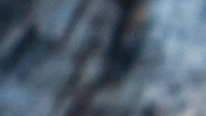 Pavo relleno clásico con pan y hierbas