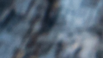 Pavo relleno clásico con pan y hierbas