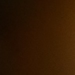 Pavo relleno estilo mexicano (picadillo)