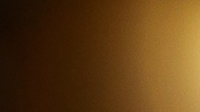 Pavo relleno estilo mexicano (picadillo)