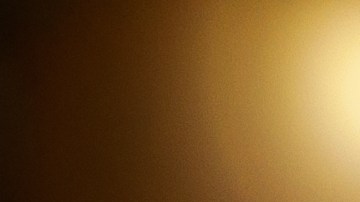 Pavo relleno estilo mexicano (picadillo)