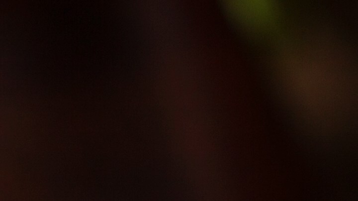 Pavo relleno mediterráneo