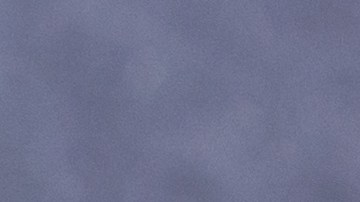 Pimiento rellenos de arroz