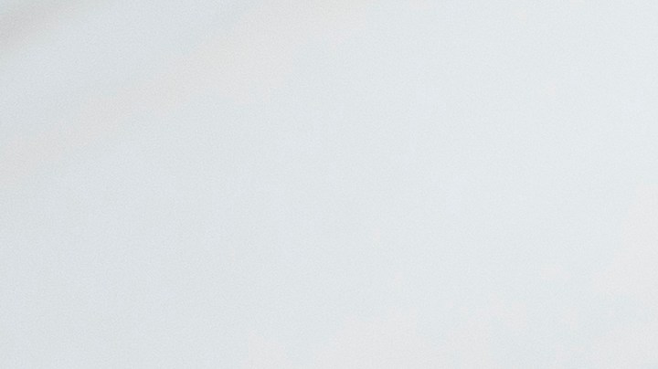 Pimientos rellenos de langostinos