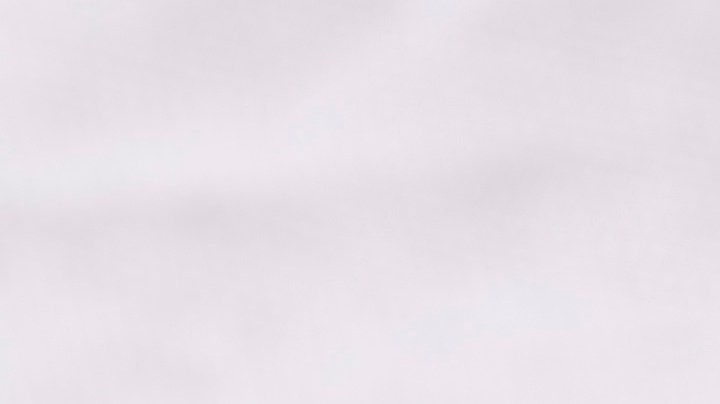 Pimientos rellenos de setas