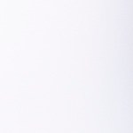 burrito de pato confitado