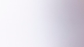 burrito de pato confitado