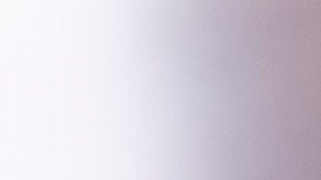 burrito de pato confitado