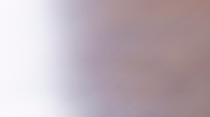 burrito de pato confitado