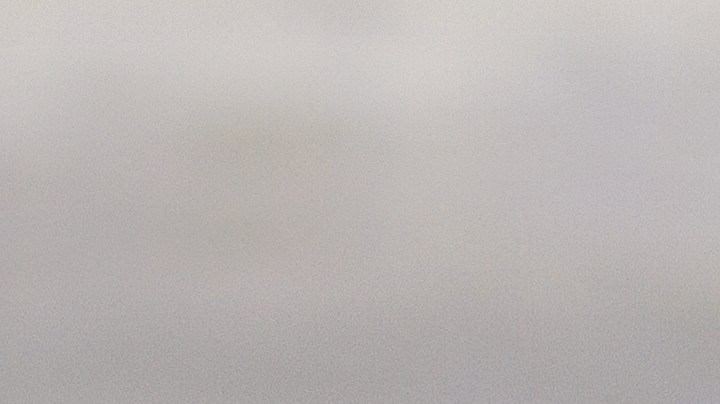 Burrito de pavo y aguacate