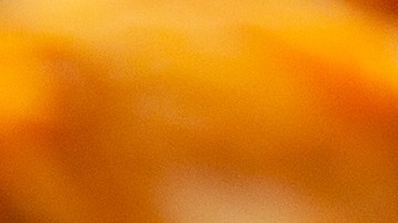 burrito de pollo al chipotle