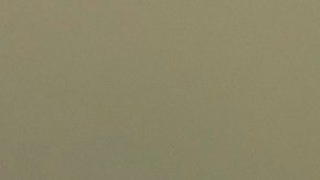 Burrito de frijoles con queso