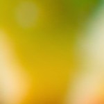 Corazones de pollo fritos