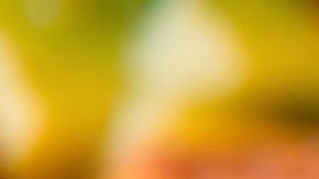 Corazones de pollo fritos